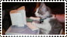 cat on the puter blinkie